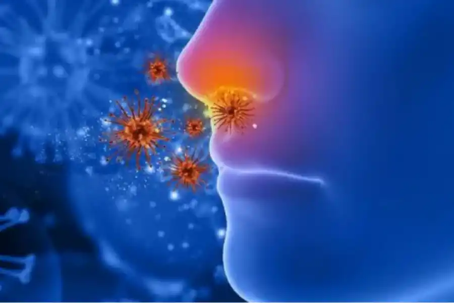 Los patógenos que ingresan por la nariz pueden desencadenar una respuesta inflamatoria en el cerebro, según la evidencia disponible.