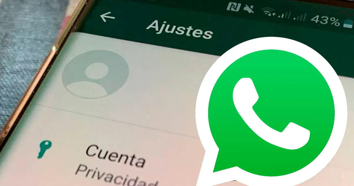 MAYOR PRIVACIDAD. Whatsapp lanzó una actualización para personificar aún más su uso.