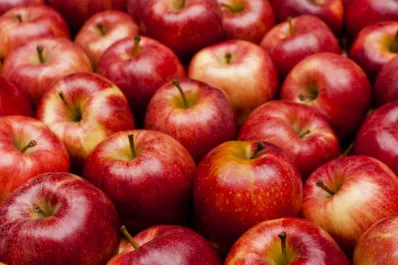 Día por día: cómo es la dieta de la manzana para adelgazar 7 kilos en una semana