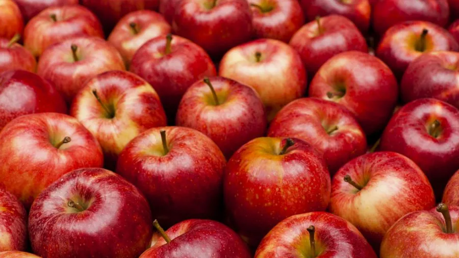 Día por día: cómo es la dieta de la manzana para adelgazar 7 kilos en una semana