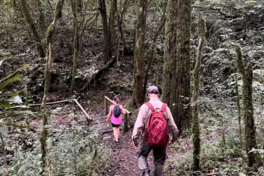 SENDEROS. Para hacer un paseo por los faldeos de la Sierra de San Javier.