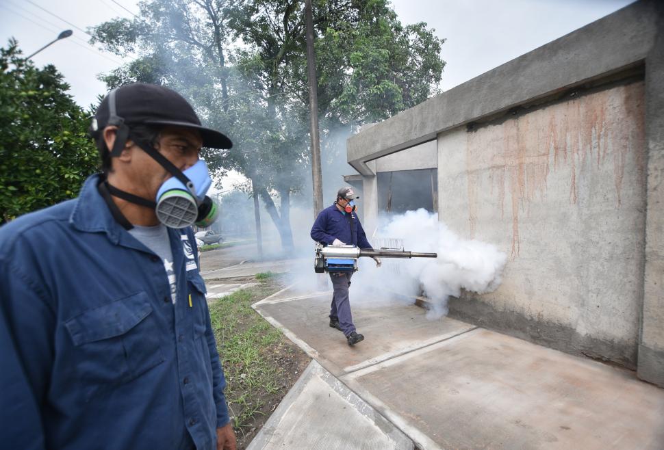 Epidemia de dengue en Tucumán: ¿alcanza con el descacharrado y con la fumigación?