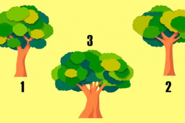 Test de personalidad: elegí un árbol y descubrí qué tan sincero sos en tus relaciones