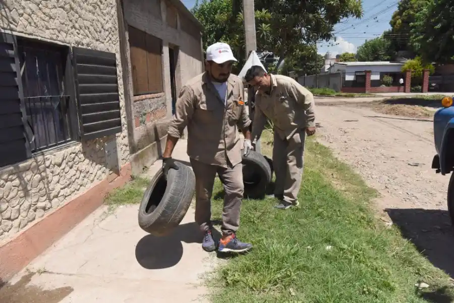 Epidemia de dengue en Tucumán: ¿alcanza con el descacharrado y con la fumigación?