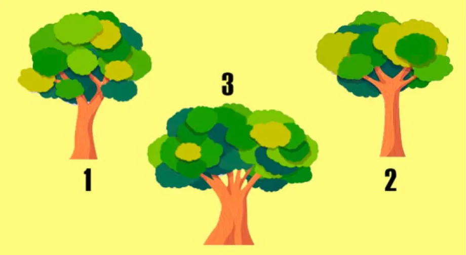 Test de personalidad: elegí un árbol y descubrí cuál es el grado de sinceridad en tus relaciones.