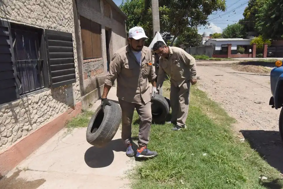 Epidemia de dengue en Tucumán: ¿alcanza con el descacharrado y con la fumigación?