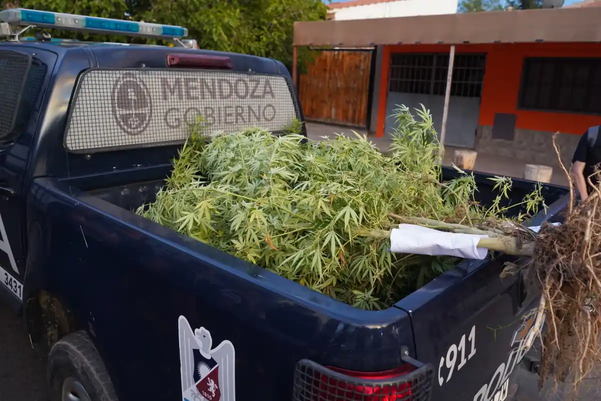 Se detuvo a 63 individuos, de los cuales 54 son hombres y 9 son mujeres.