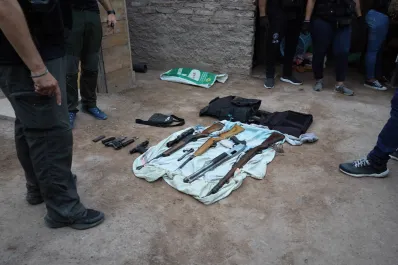 Los detalles del proyecto de ley para regularizar la tenencia de armas