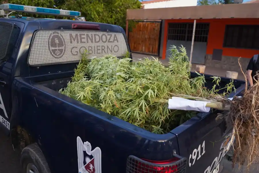 Se detuvo a 63 individuos, de los cuales 54 son hombres y 9 son mujeres.