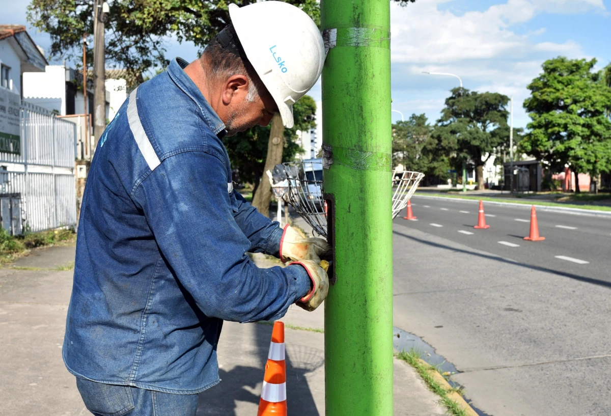 Reponen luminarias en la avenida Mate de Luna tras el robo de cables