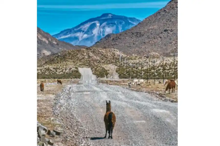 Yavi tiene 200 habitantes.