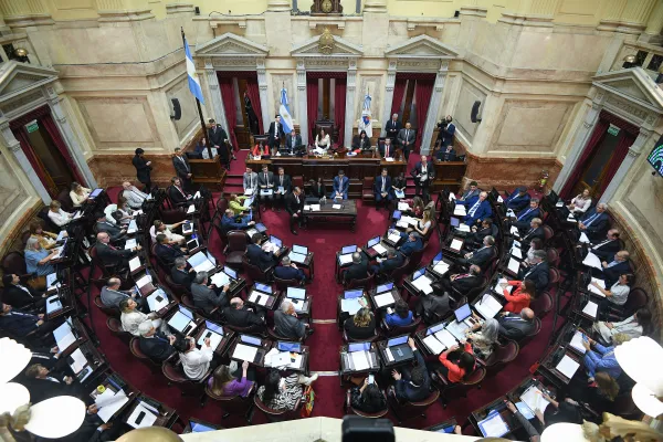 El Senado rechazó el mega DNU: cómo votaron los representantes de Tucumán