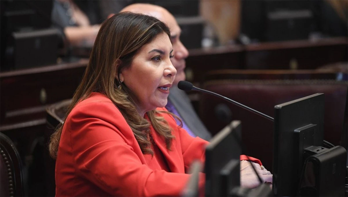 JUSTIFICACIÓN. La senadora Sandra Mendoza explicó que no se puede hacer a través de un DNU lo que se está haciendo..