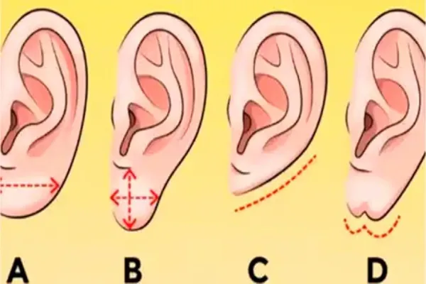 Test viral: la forma de tu oreja revelará los rasgos ocultos de tu personalidad