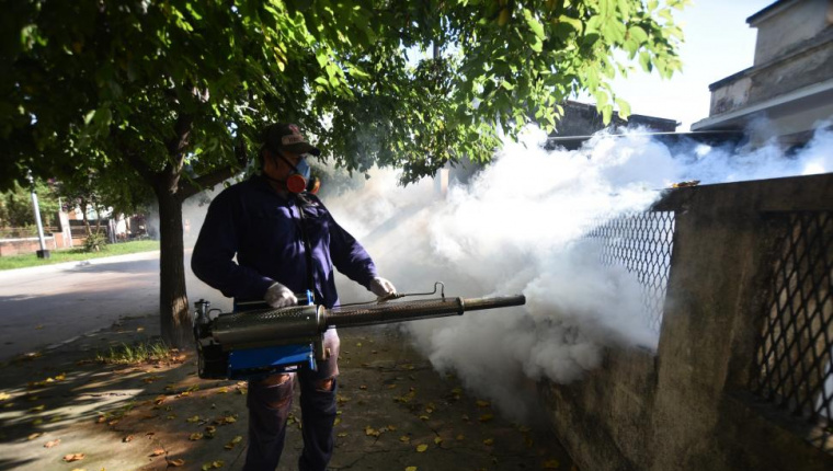 Video: Salud alerta sobre la persistencia del dengue en Tucumán y explica por qué la vacuna es clave
