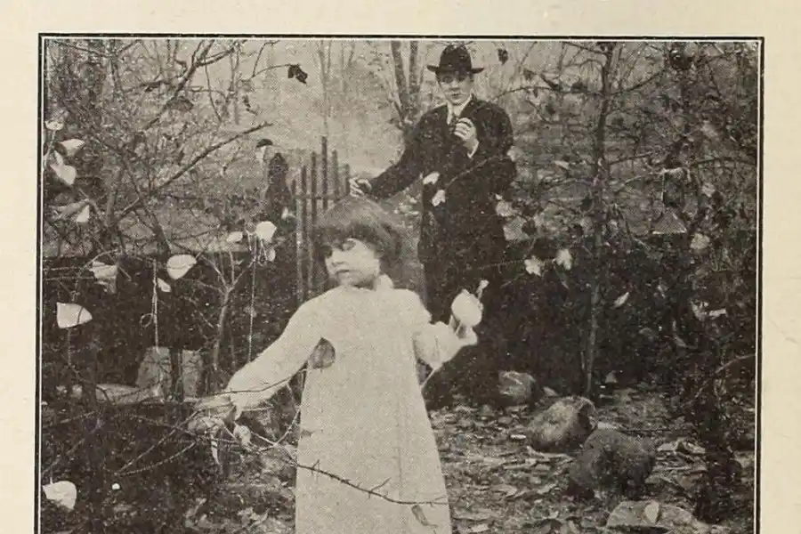 Conocé las novedades que trae Mubi este mes