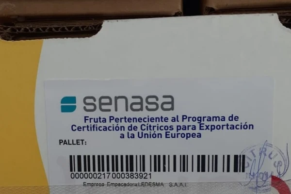 Cítricos: el Senasa recordó los parámetros de madurez mínima