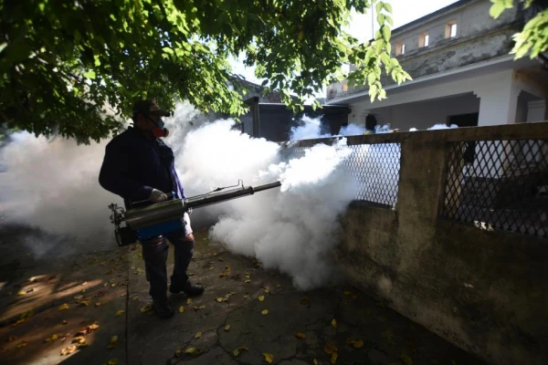 Dengue: “estamos muy lejos de controlar la enfermedad”