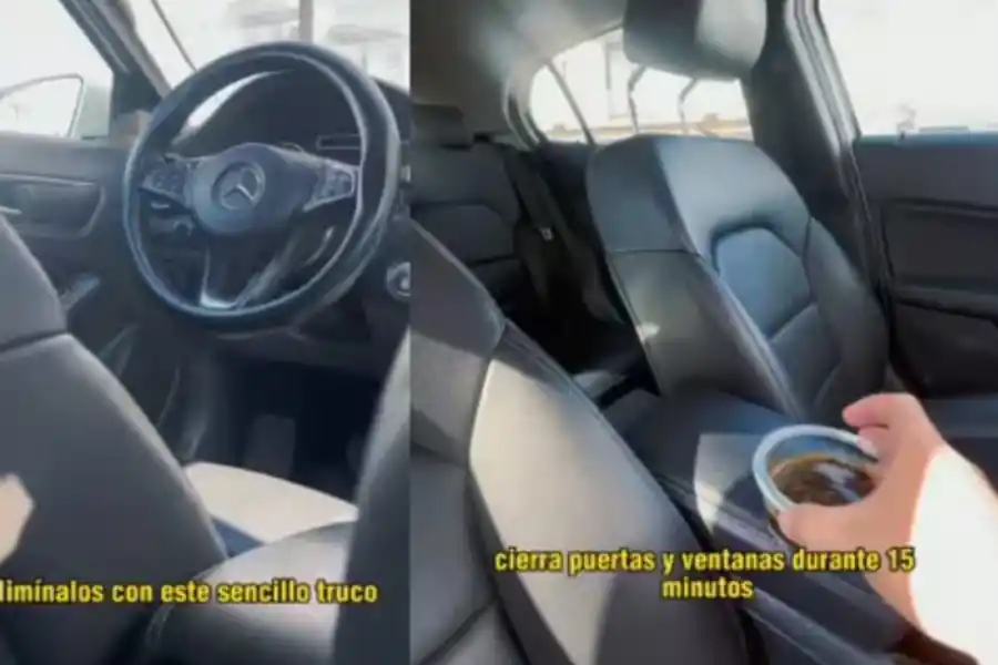 El truco definitivo para eliminar el olor a humedad del auto en solo 15 minutos