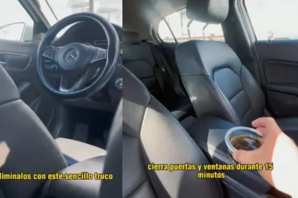 El truco definitivo para eliminar el olor a humedad del auto en solo 15 minutos