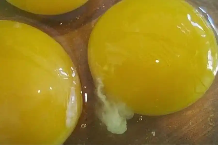 Según los profesionales de la salud, la chalaza es indicativo de frescura del huevo.