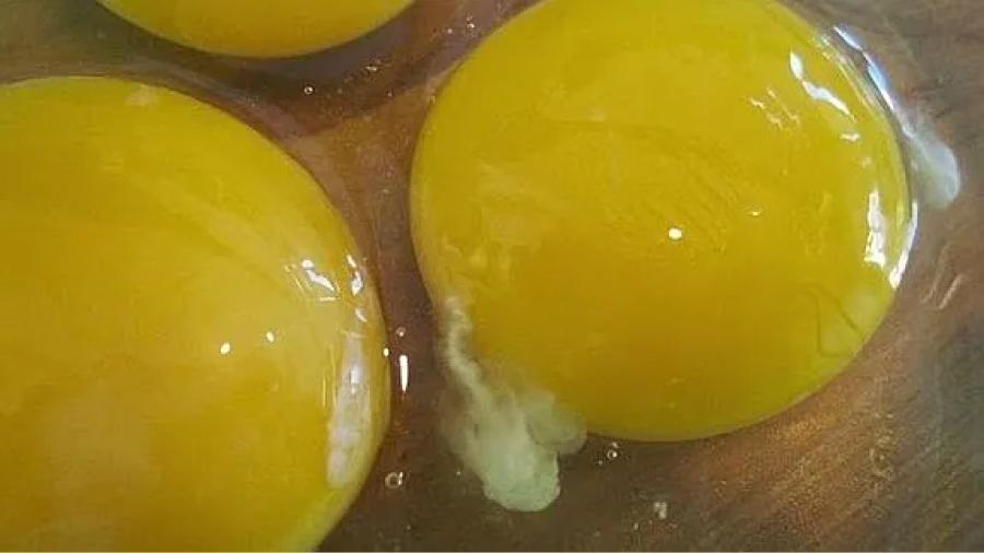 Según los profesionales de la salud, la chalaza es indicativo de frescura del huevo.