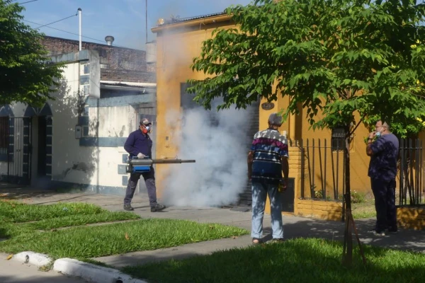 En lo que va del año, hay casi 10.000 casos registrados de dengue en Tucumán