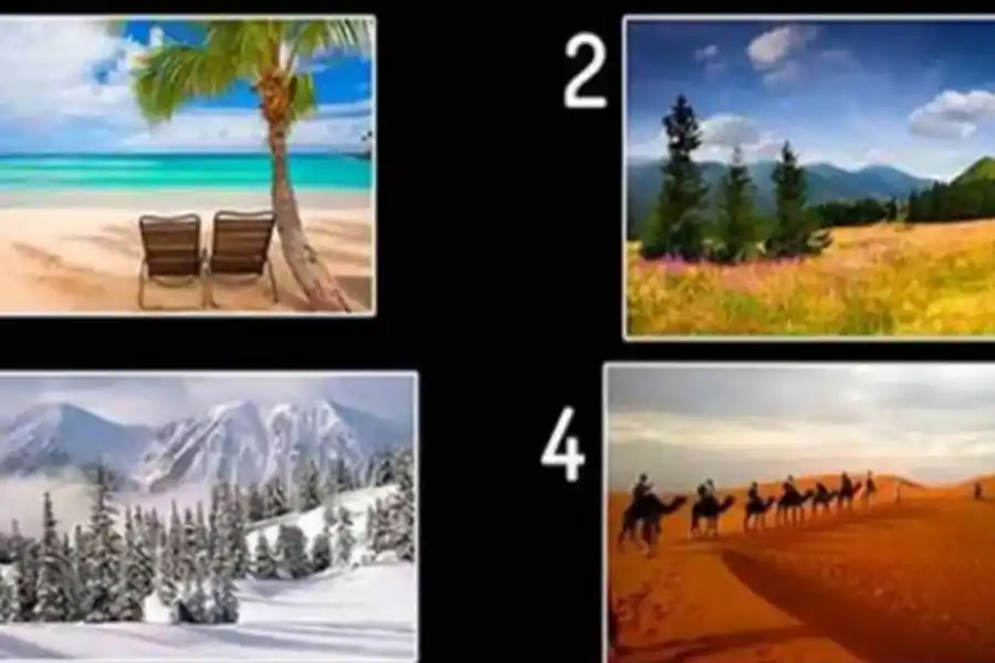 Un test de personalidad que es tendencia en las redes sociales.