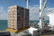 Estiman que las exportaciones alcanzarán los U$S81.000 millones este año