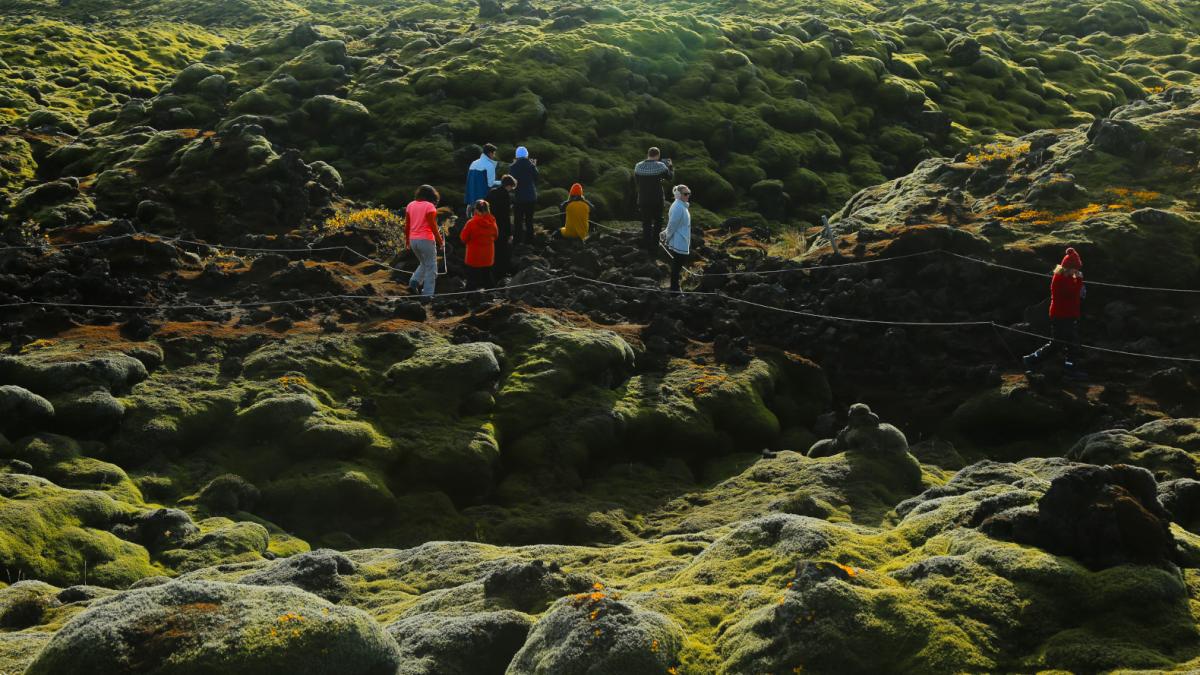 Campos de lava cubiertos por musgos en el sur de Islandia