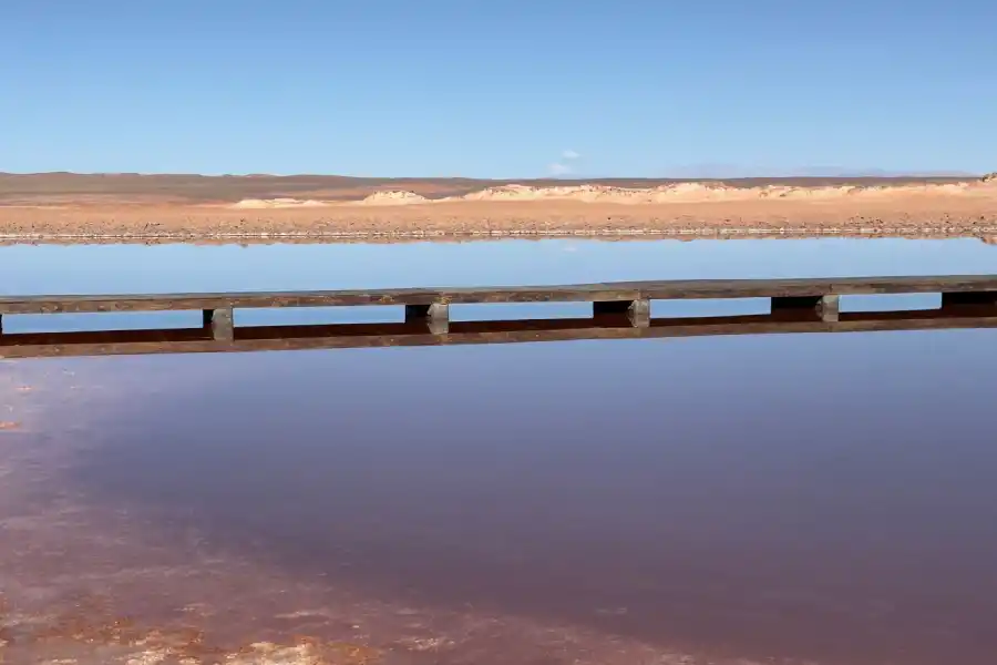 Los conocedores del lugar sospecha este daño puede haber sido causado por los pesados pilotes de la caminería.