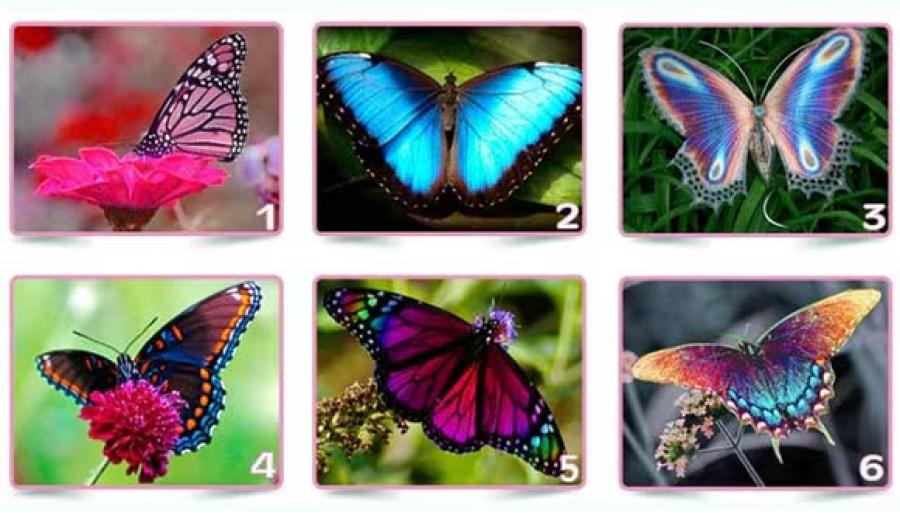 Test viral: elegí la mariposa que más te guste y descubrí algo sorprendente de tu personalidad.