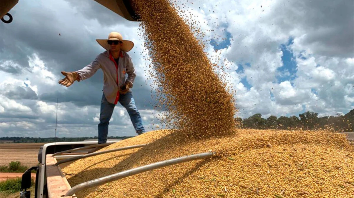 La producción de soja en el país alcanzará las 18 millones de toneladas