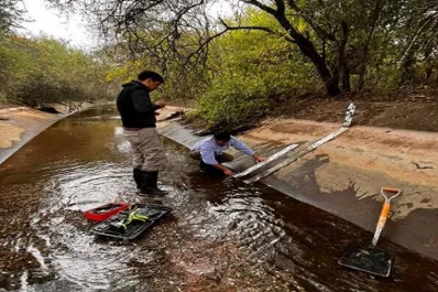 El rol del riego en el uso eficiente del agua