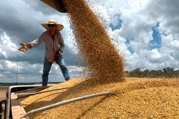 La producción de soja en el país alcanzará las 18 millones de toneladas