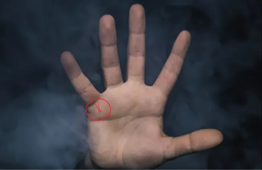 La línea de los hijos se ubica bajo el dedo meñique y arriba de la línea del matrimonio. Foto: Gabriel Ramos/Unsplash