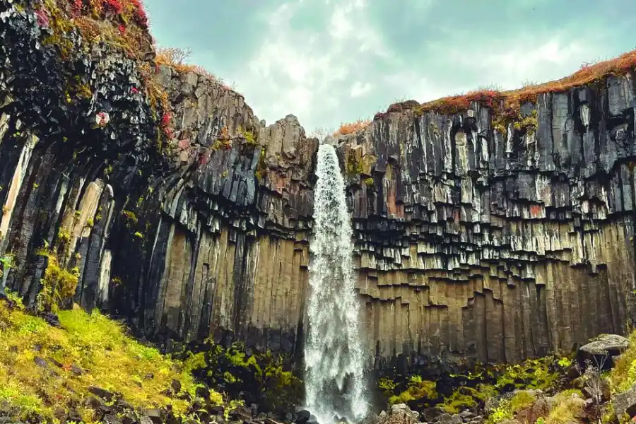 SVARTIFOSS. Columnas basálticas que inspiraron la Hallgrímskirkja. FOTO GENTILEZA DE FABIÁN JARUF