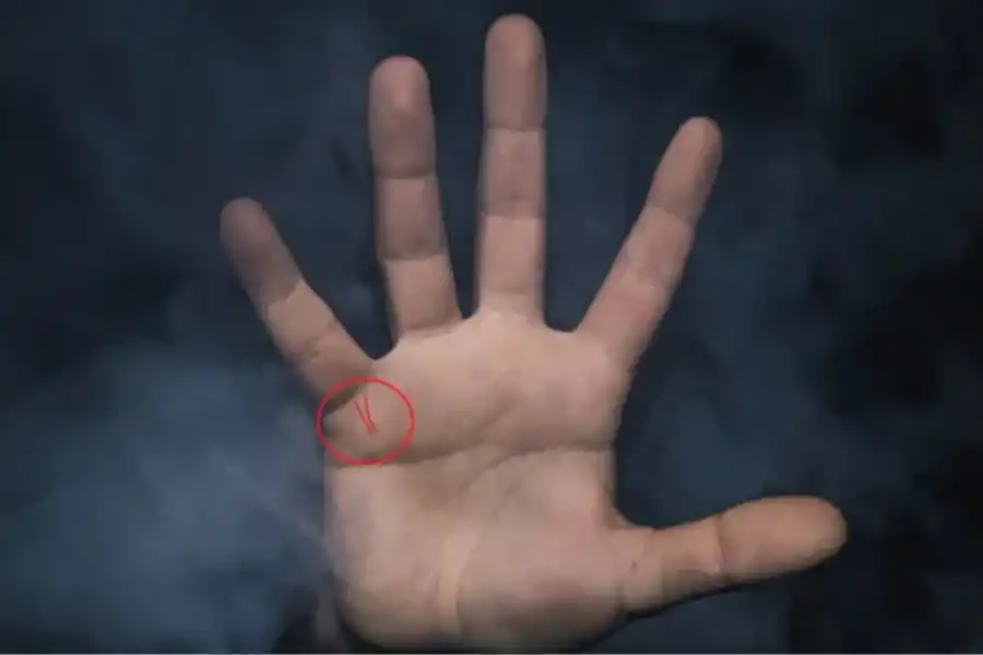 La línea de los hijos se ubica bajo el dedo meñique y arriba de la línea del matrimonio. Foto: Gabriel Ramos/Unsplash