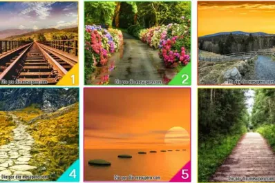 Test de personalidad: elegí un camino y descubrí qué te espera en el futuro