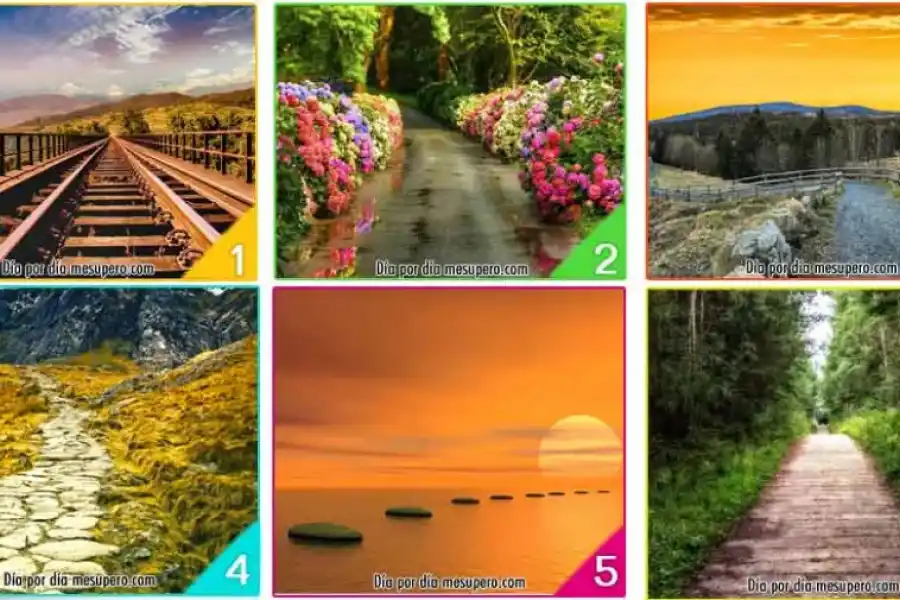 Test de personalidad: elegí un camino y descubrí cuál es el rumbo que anhelas para tu vida.