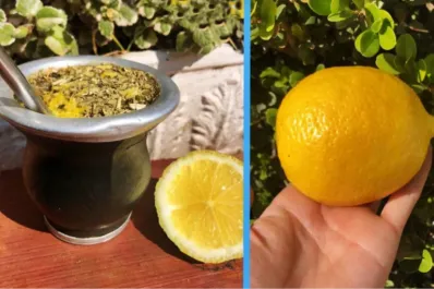 ¿Para qué sirve el mate con limón? Descubrí sus cinco beneficios clave