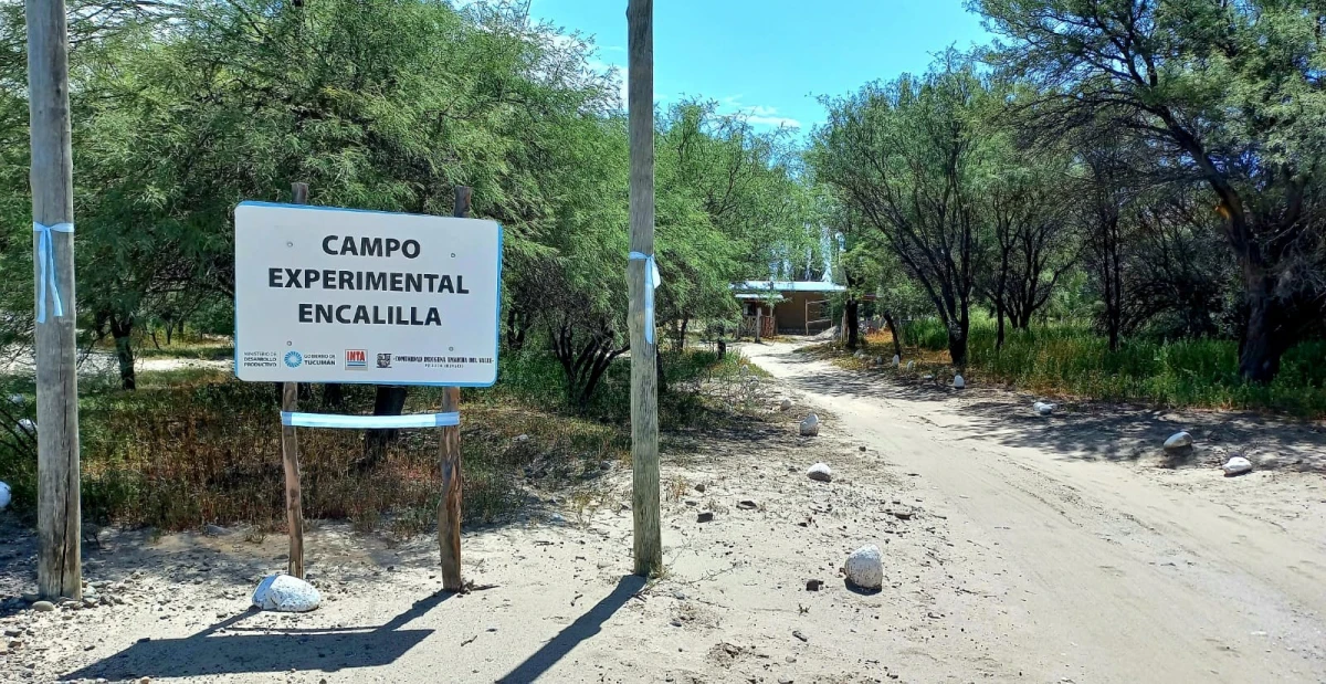 Campo Experimental Encalilla: nuevas propuestas para potenciar sus beneficios productivos y ambientales