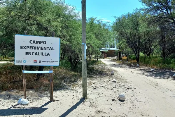 Campo Experimental Encalilla: nuevas propuestas para potenciar sus beneficios productivos y ambientales