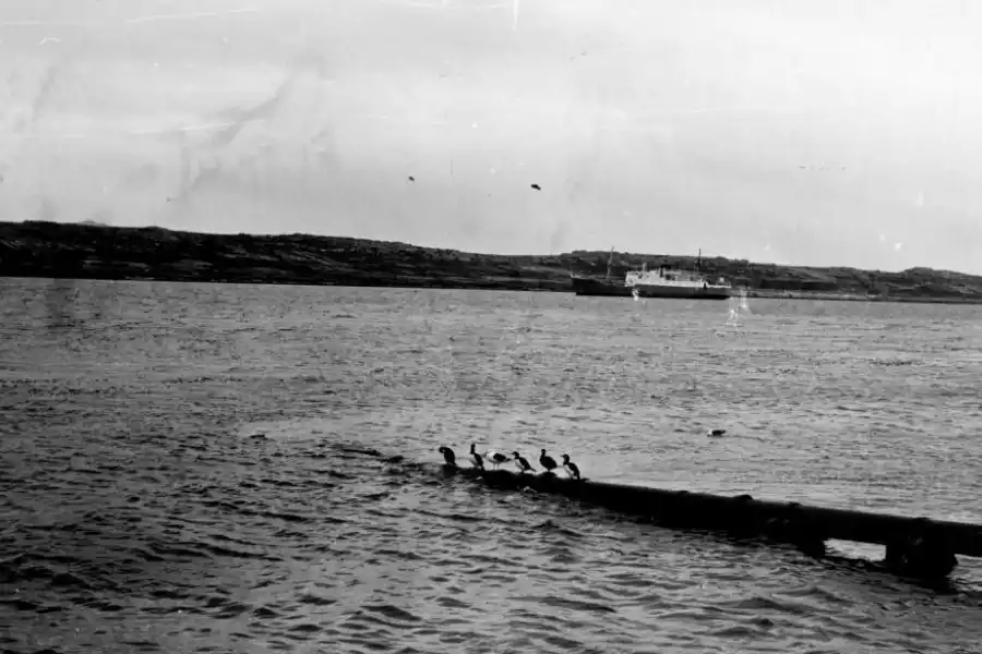 LA DESOLACIÓN DE 1982. El paisaje del mar infinito en tiempos de la Guerra.