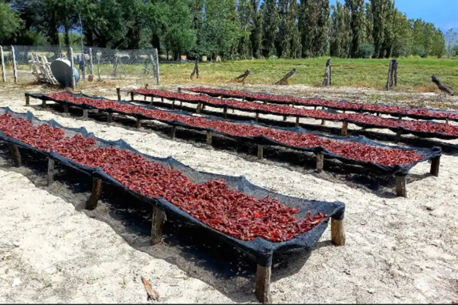 Campo Experimental Encalilla: nuevas propuestas para potenciar sus beneficios productivos y ambientales