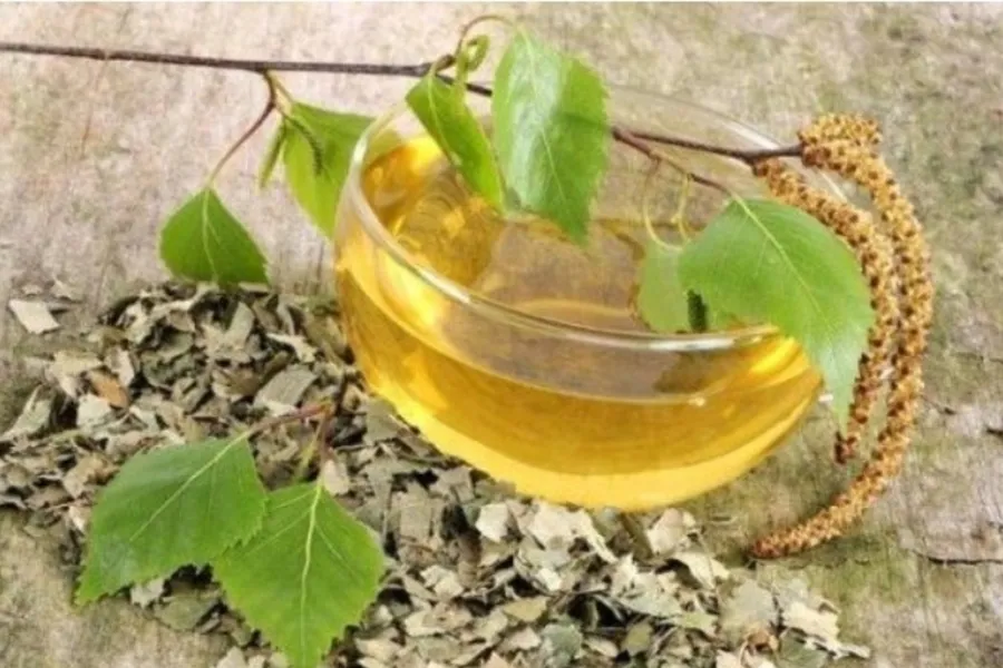El té de hojas de abedul es recomendado para combatir las celulitis.