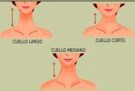 Test viral: observá la forma de tu cuello y descubrí los rasgos ocultos de tu personalidad