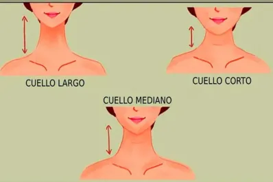 Test viral: observá la forma de tu cuello y descubrí los rasgos ocultos de tu personalidad