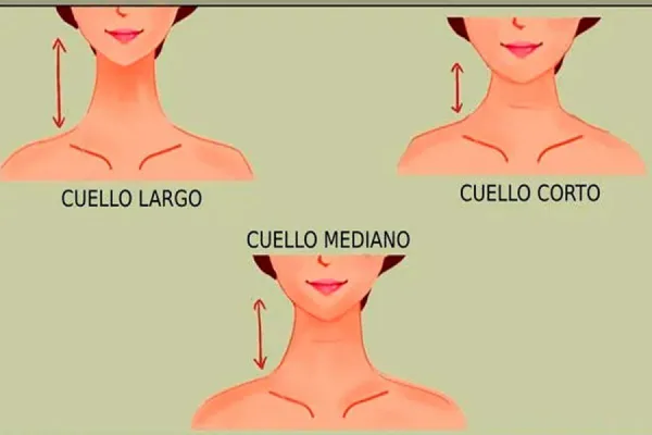 Test viral: observá la forma de tu cuello y descubrí los rasgos ocultos de tu personalidad