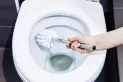 El truco definitivo para limpiar el inodoro y dejarlo como nuevo con un ingrediente natural